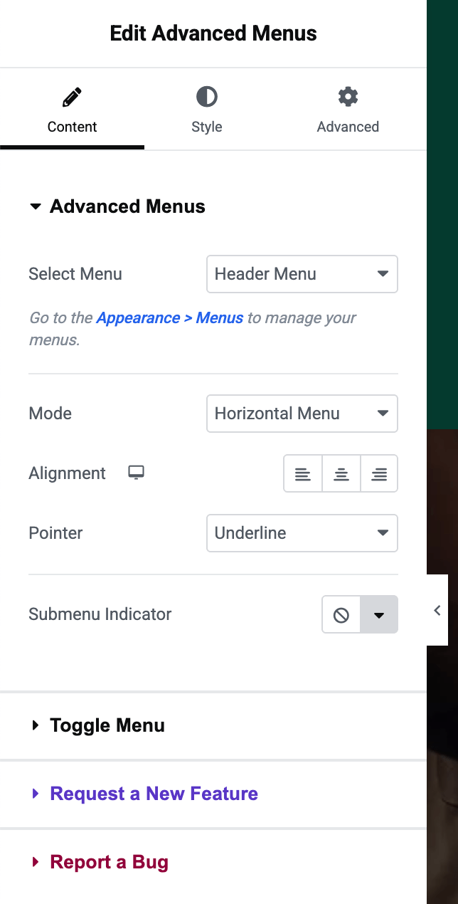 Advanced Menus Widget Settings