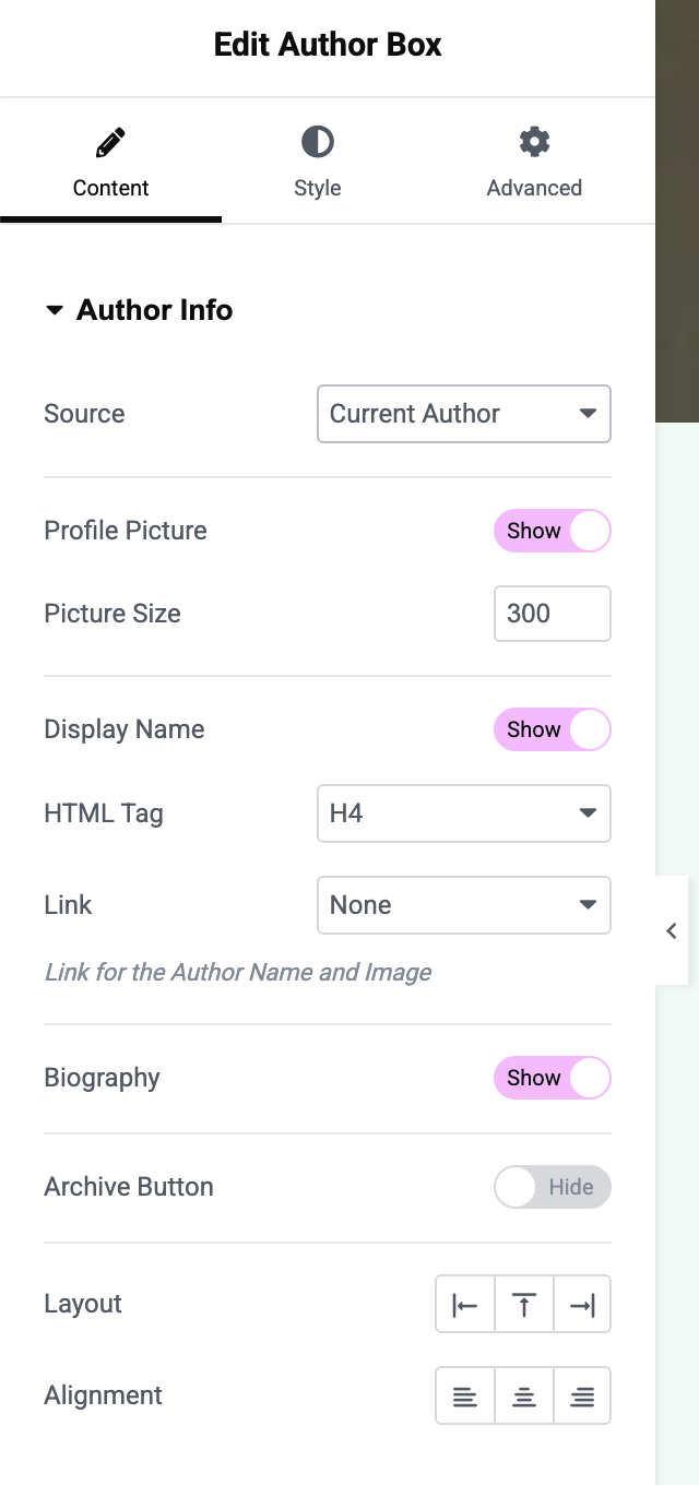 Author Box Widget