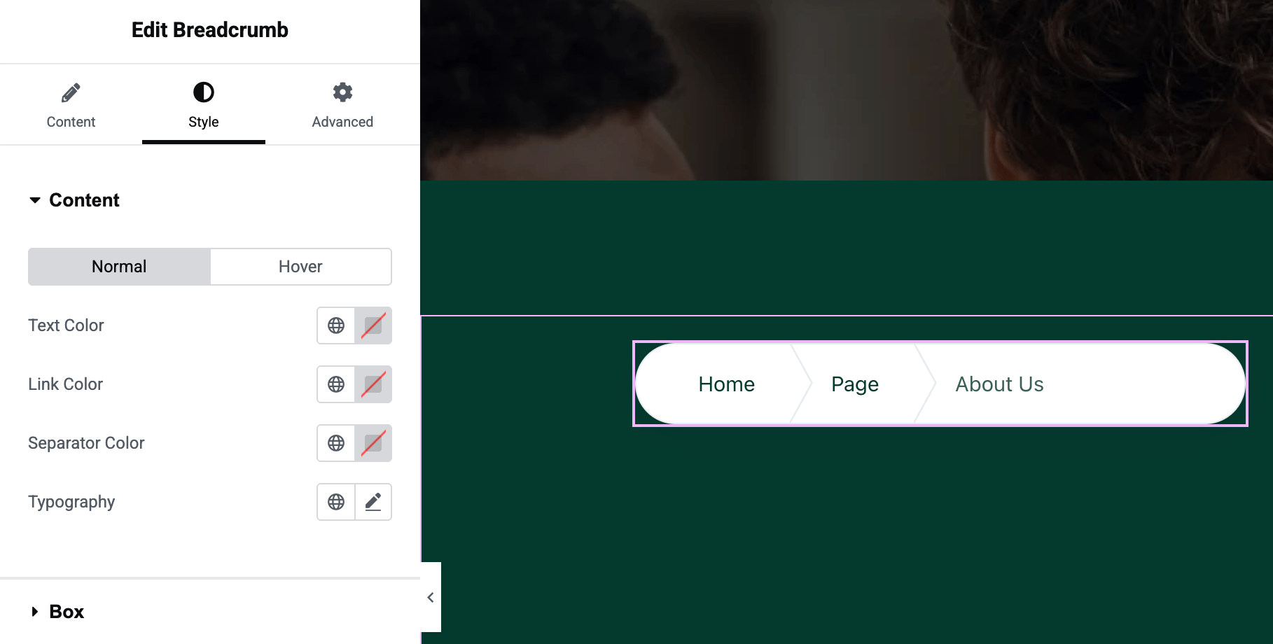 Breadcrumb Widget Settings