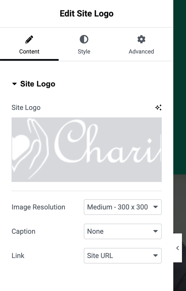 Site Logo Widget Settings