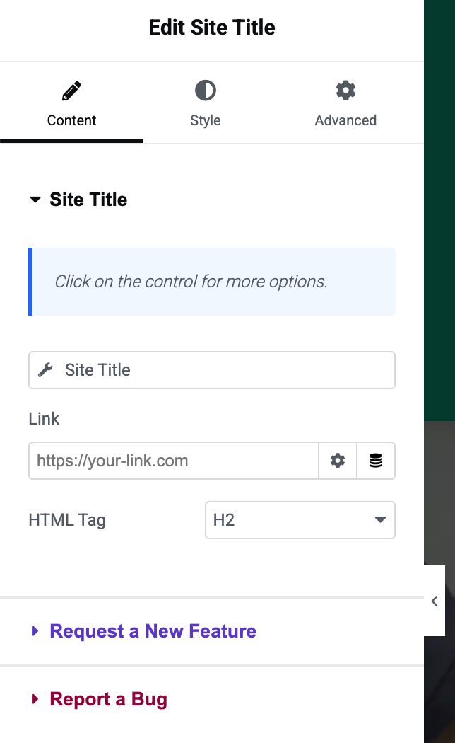 Site Title Widget Settings