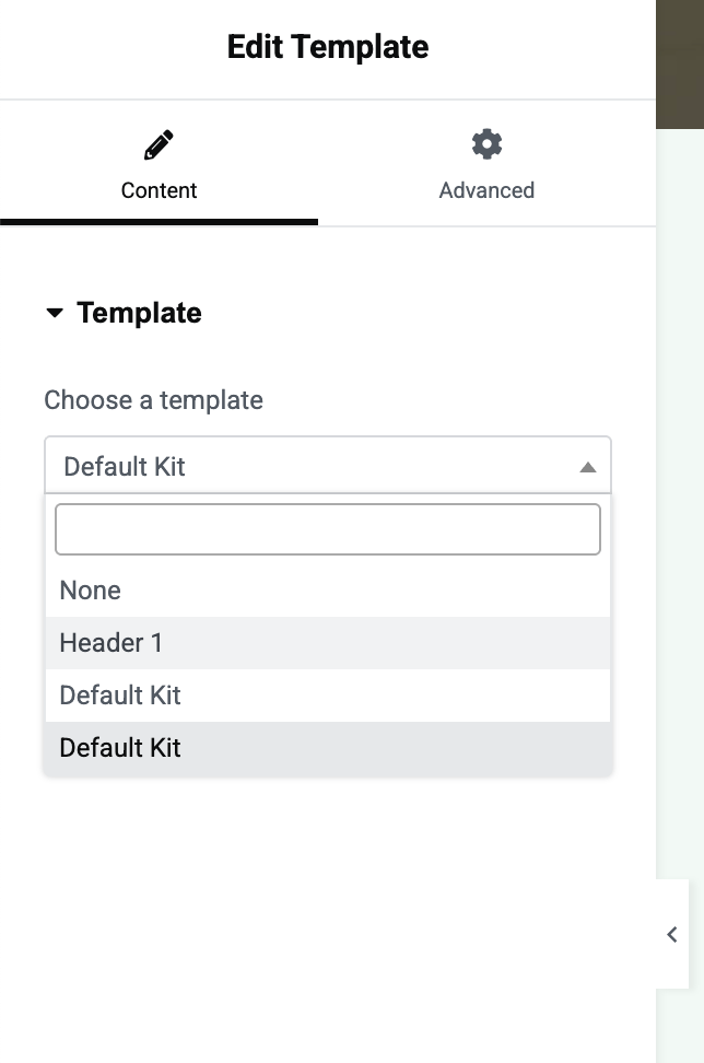 Template Widget